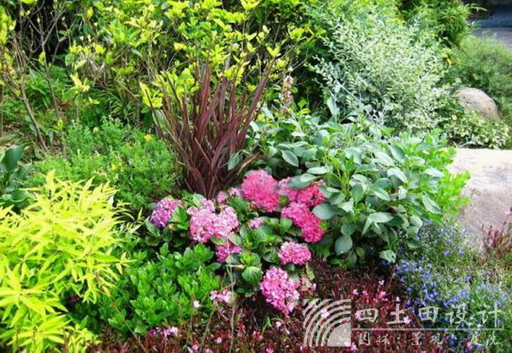 利来集团官网(W66)最给力的老牌