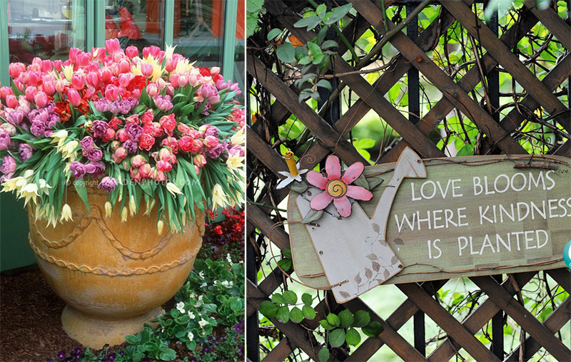 利来集团官网(W66)最给力的老牌