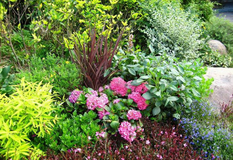 利来集团官网(W66)最给力的老牌